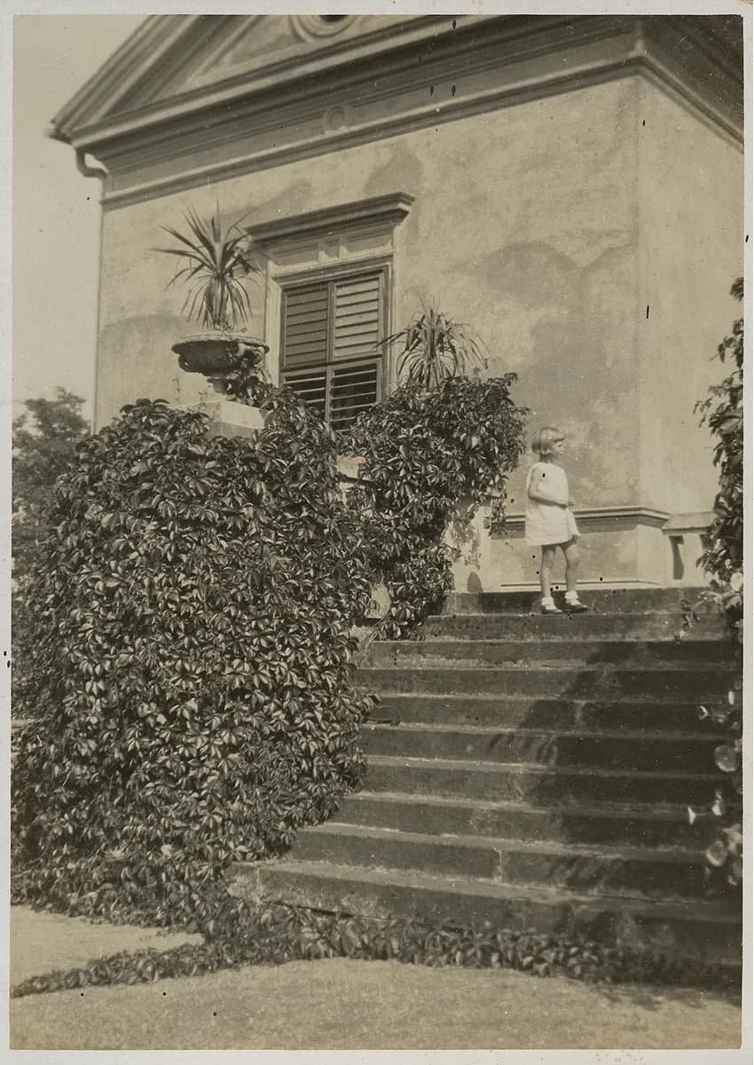 Zámek Dobřenice – House od Loevenstein